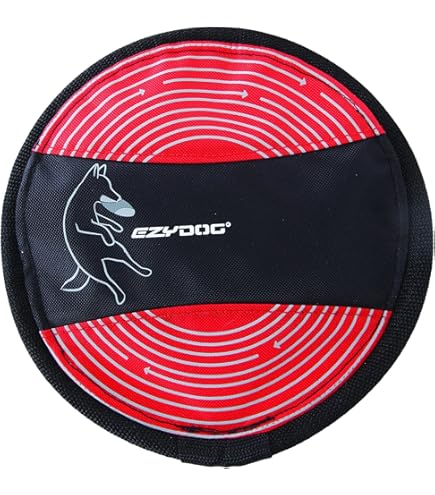 バーバリー　非売品　フリスビー バーバリー非売品フリスビー